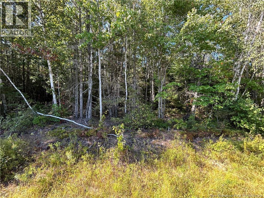 Lot 25-2 Upper Midland Road, Norton, New Brunswick  E5T 1Z8 - Photo 4 - NB125941