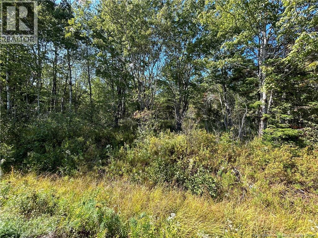 Lot 25-2 Upper Midland Road, Norton, New Brunswick  E5T 1Z8 - Photo 6 - NB125941