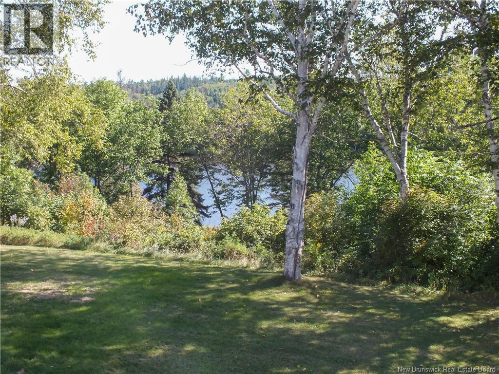 2948 Route 109, Three Brooks, New Brunswick  E7G 2X4 - Photo 41 - NB125821