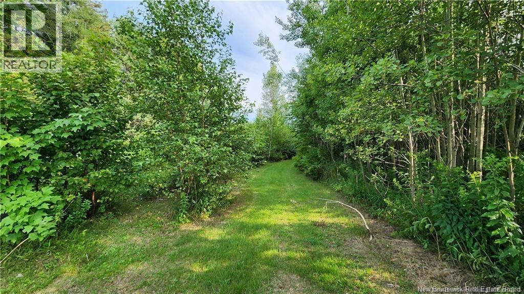 7.6 acres Rue Pinet, Bertrand, New Brunswick