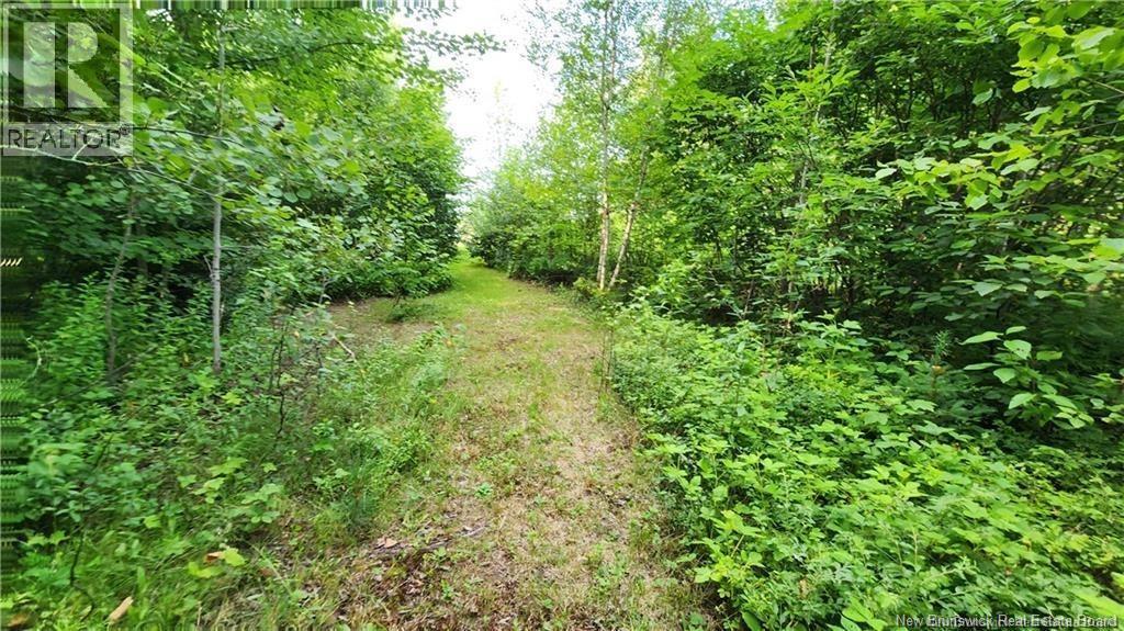 7.6 Acres Rue Pinet, Bertrand, New Brunswick  E1X 1L3 - Photo 2 - NB125918
