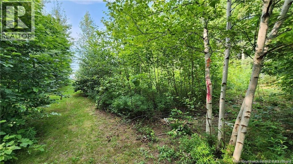 7.6 Acres Rue Pinet, Bertrand, New Brunswick  E1X 1L3 - Photo 4 - NB125918