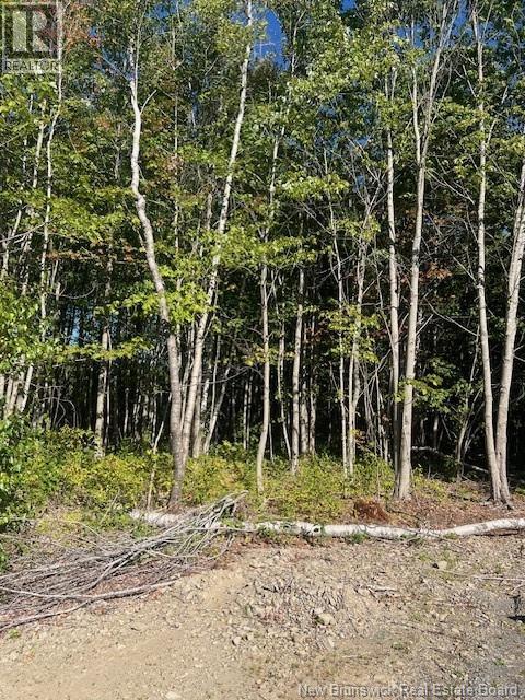 Vacant Land Rte 535 Cocagne, Cocagne, New Brunswick  E4R 3G6 - Photo 3 - NB125928