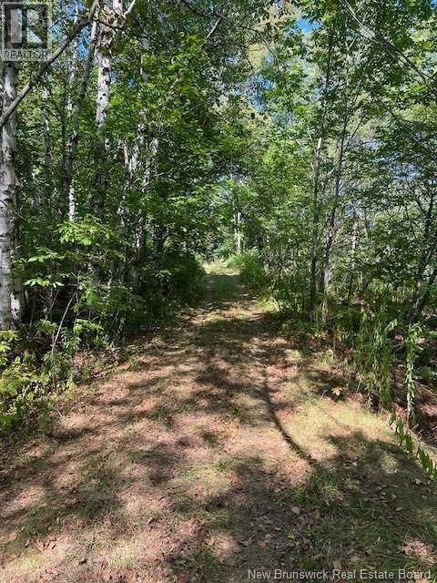 7 Islandview Lane, Summerville, New Brunswick  E5S 1V9 - Photo 19 - NB125908
