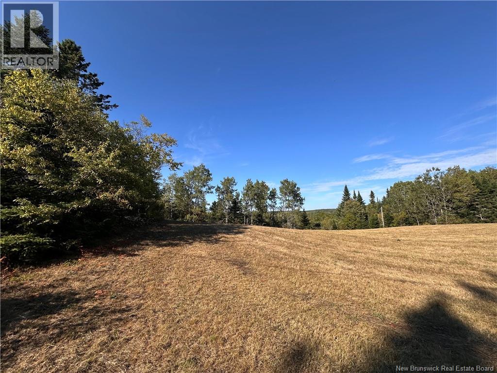 0 Drawlin Road, Barnesville, New Brunswick  E5N 3P2 - Photo 5 - NB125012