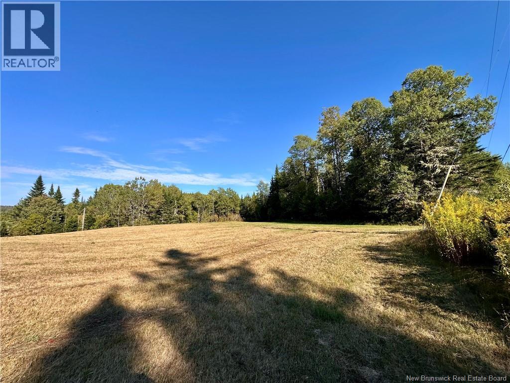0 Drawlin Road, Barnesville, New Brunswick  E5N 3P2 - Photo 6 - NB125012