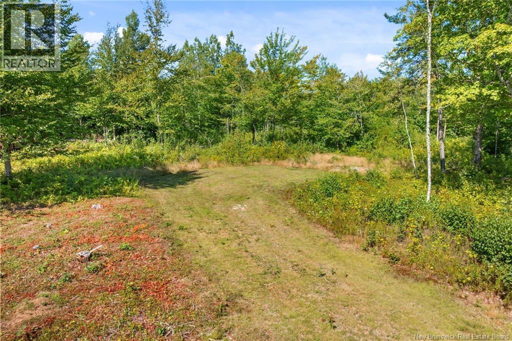 1677 Bronson Sett Road, Bronson Settlement, New Brunswick  E4A 2M2 - Photo 44 - NB126047