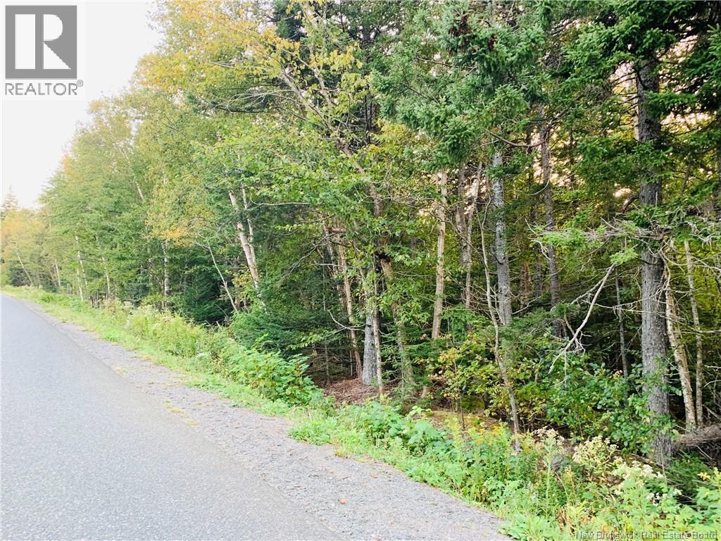 85-42 Bunker Hill Road, Wilsons Beach, New Brunswick