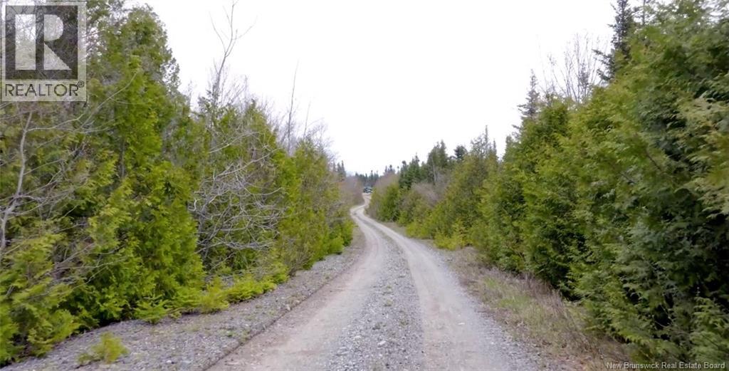 Downeast Drive, Rothesay, New Brunswick  E2G 1W3 - Photo 6 - NB126030
