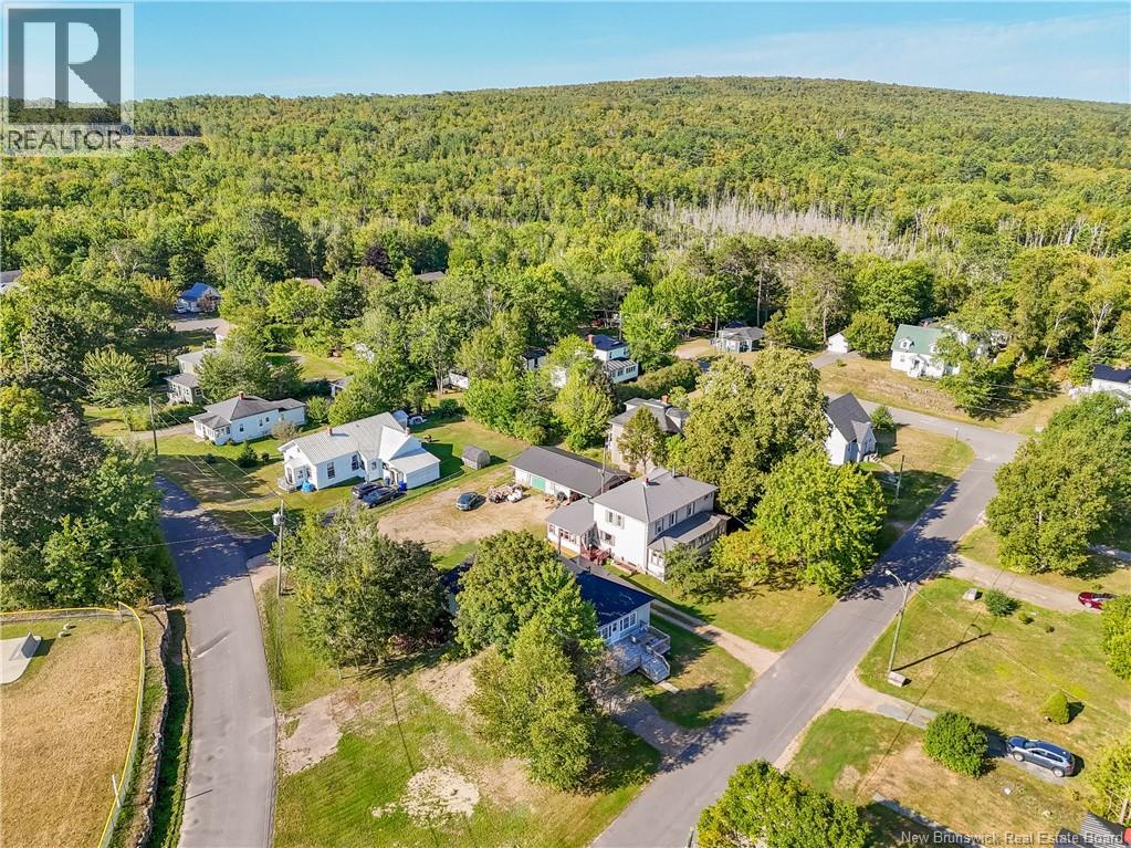 9 Elm Street, Mcadam, New Brunswick  E6J 1X5 - Photo 31 - NB126070