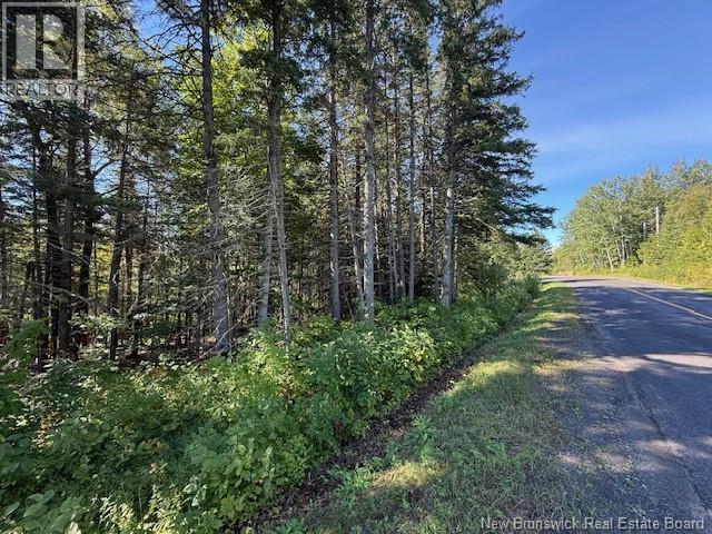 Lot Leblanc Road, Dundee, New Brunswick  E8E 1W4 - Photo 3 - NB126069