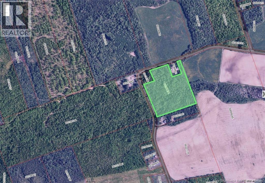 Lot Leblanc Road, Dundee, New Brunswick  E8E 1W4 - Photo 5 - NB126069