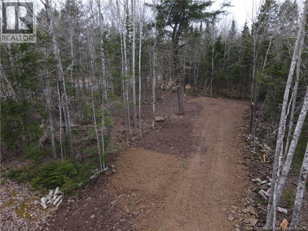 Lot Cumberland Point Road, Cumberland Bay, New Brunswick  E4A 0A4 - Photo 14 - NB126068