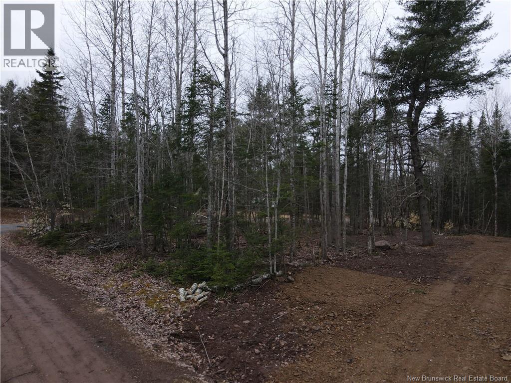 Lot Cumberland Point Road, Cumberland Bay, New Brunswick  E4A 0A4 - Photo 15 - NB126068