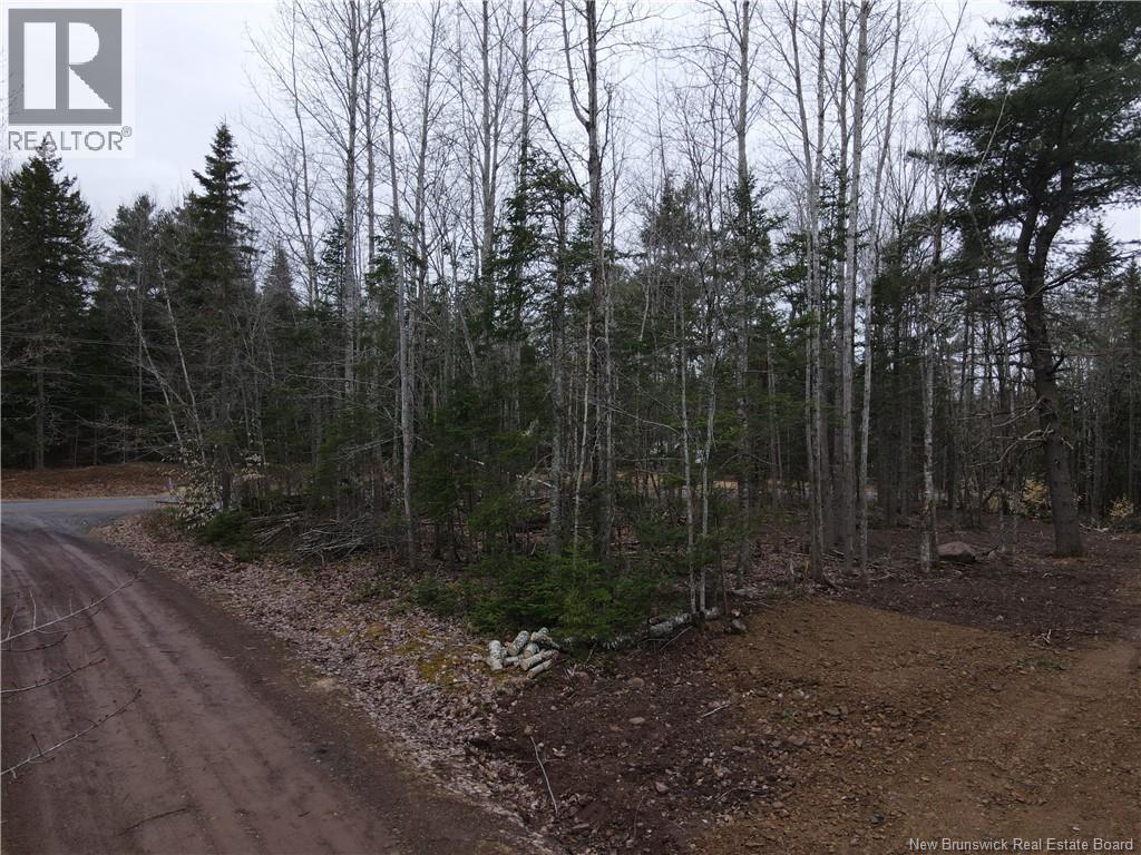 Lot Cumberland Point Road, Cumberland Bay, New Brunswick  E4A 0A4 - Photo 16 - NB126068