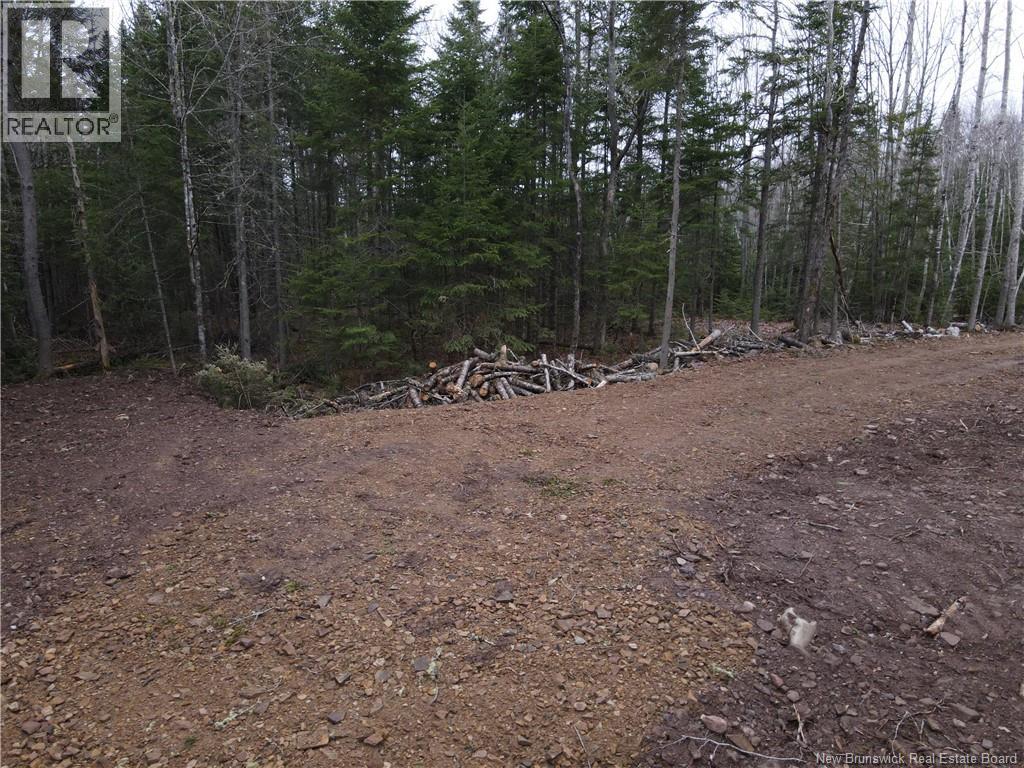 Lot Cumberland Point Road, Cumberland Bay, New Brunswick  E4A 0A4 - Photo 17 - NB126068