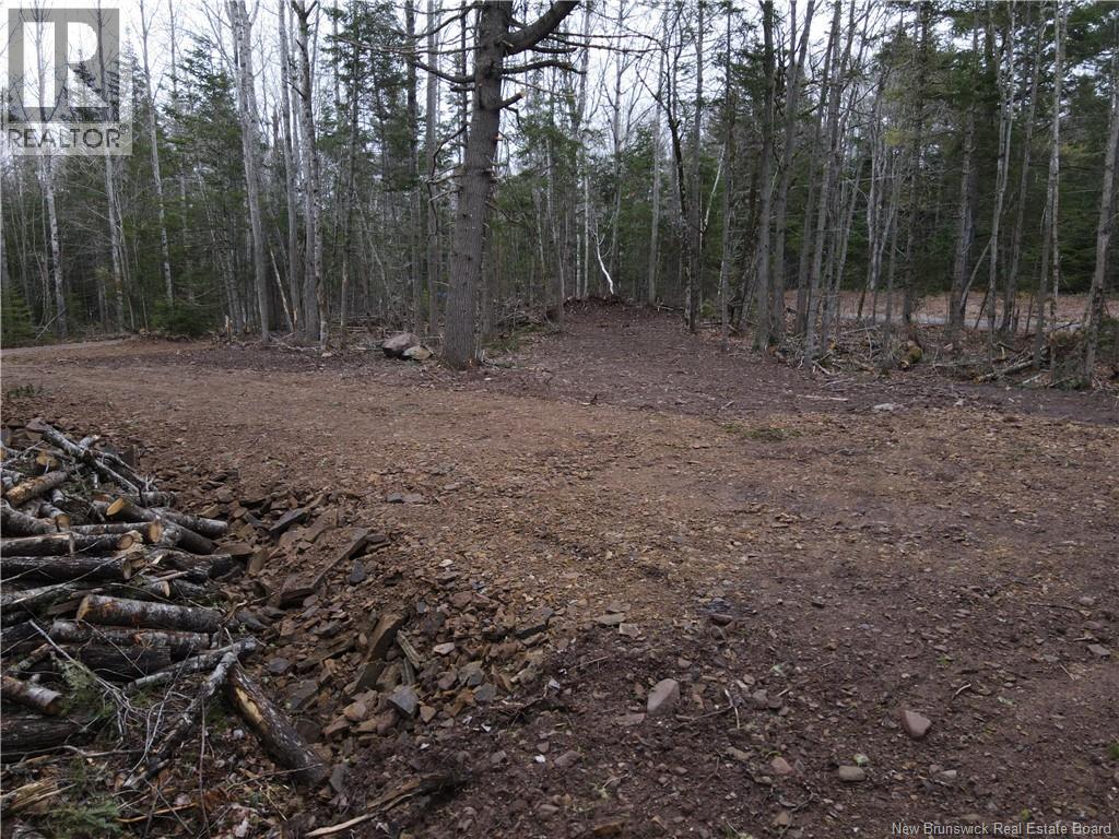 Lot Cumberland Point Road, Cumberland Bay, New Brunswick  E4A 0A4 - Photo 18 - NB126068