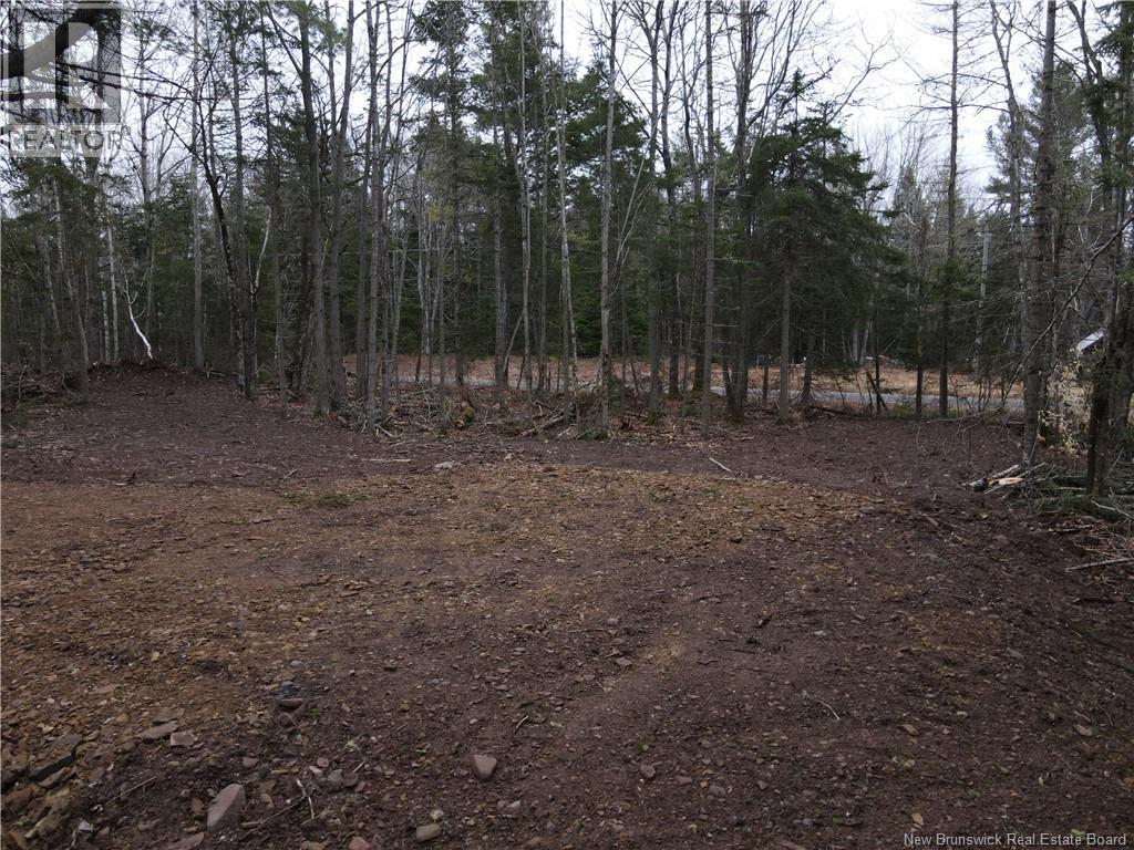 Lot Cumberland Point Road, Cumberland Bay, New Brunswick  E4A 0A4 - Photo 19 - NB126068