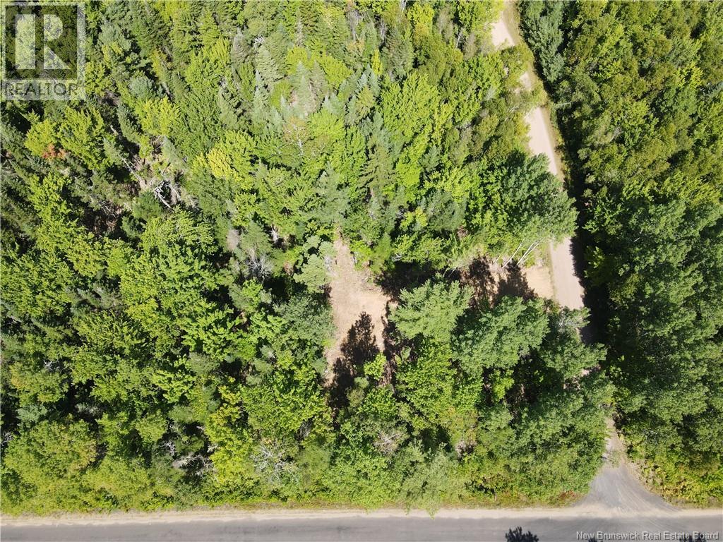 Lot Cumberland Point Road, Cumberland Bay, New Brunswick  E4A 0A4 - Photo 8 - NB126068