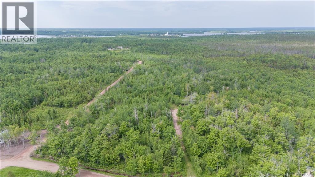 Lot 113 Route, Inkerman, New Brunswick  E8P 1E2 - Photo 5 - NB126083