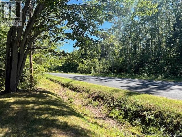 266 Herbert Road, Pokemouche, New Brunswick  E8P 1H1 - Photo 5 - NB126089