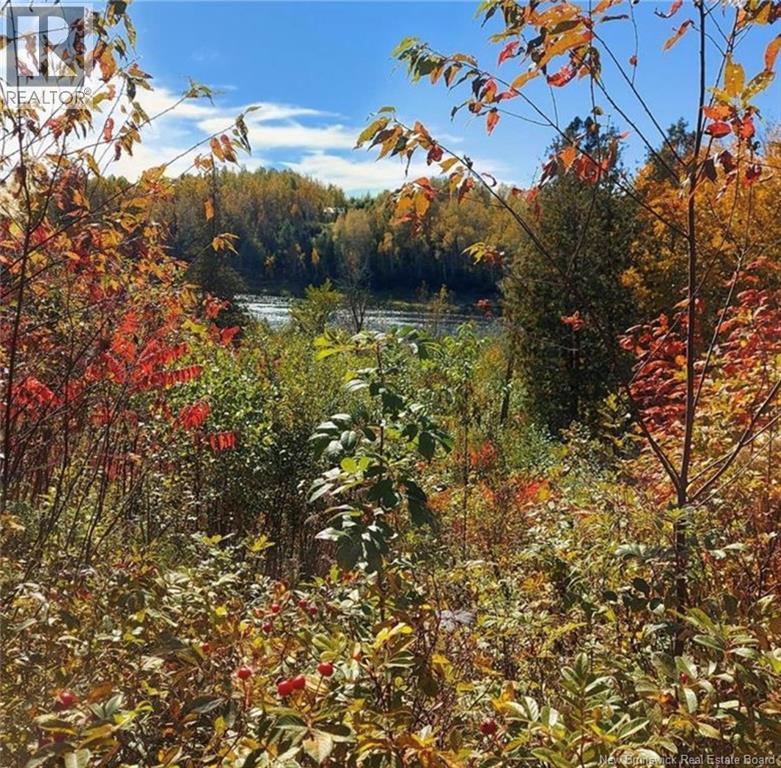 Lot 118 Route, White Rapids, New Brunswick  E9B 1A3 - Photo 11 - NB126039