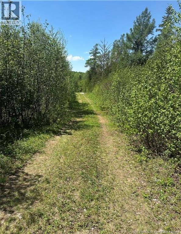 Lot 118 Route, White Rapids, New Brunswick  E9B 1A3 - Photo 13 - NB126039