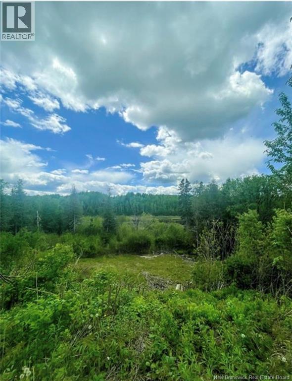 Lot 118 Route, White Rapids, New Brunswick  E9B 1A3 - Photo 14 - NB126039