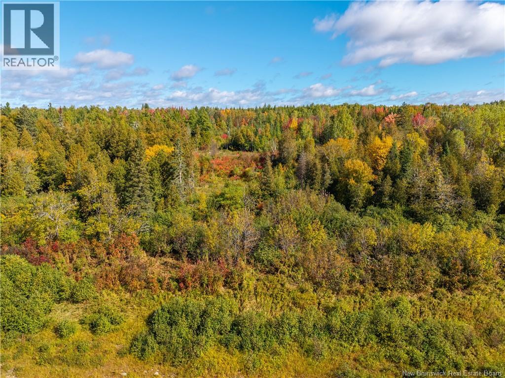 Lot 118 Route, White Rapids, New Brunswick  E9B 1A3 - Photo 15 - NB126039