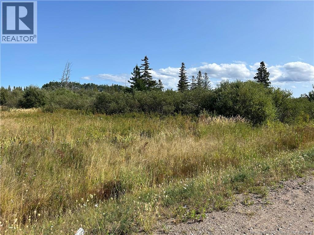 Lot St-Pierre O, Caraquet, New Brunswick  E1W 1A2 - Photo 4 - NB126104