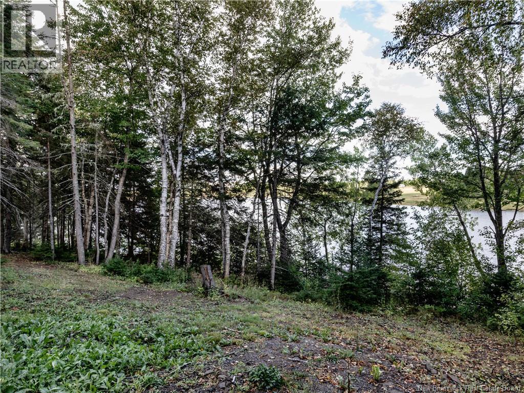 314 Alden Warmen Road, Bass River, New Brunswick  E4T 3Y2 - Photo 25 - NB126048