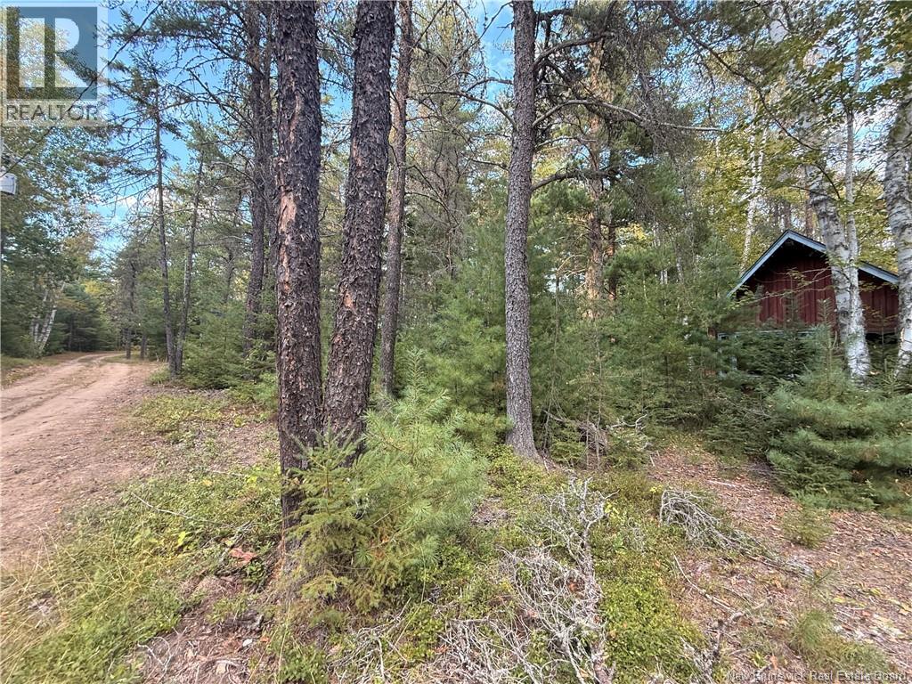 Camp L'eglise Road, Saint-Norbert, New Brunswick  E4S 2N2 - Photo 4 - NB126148