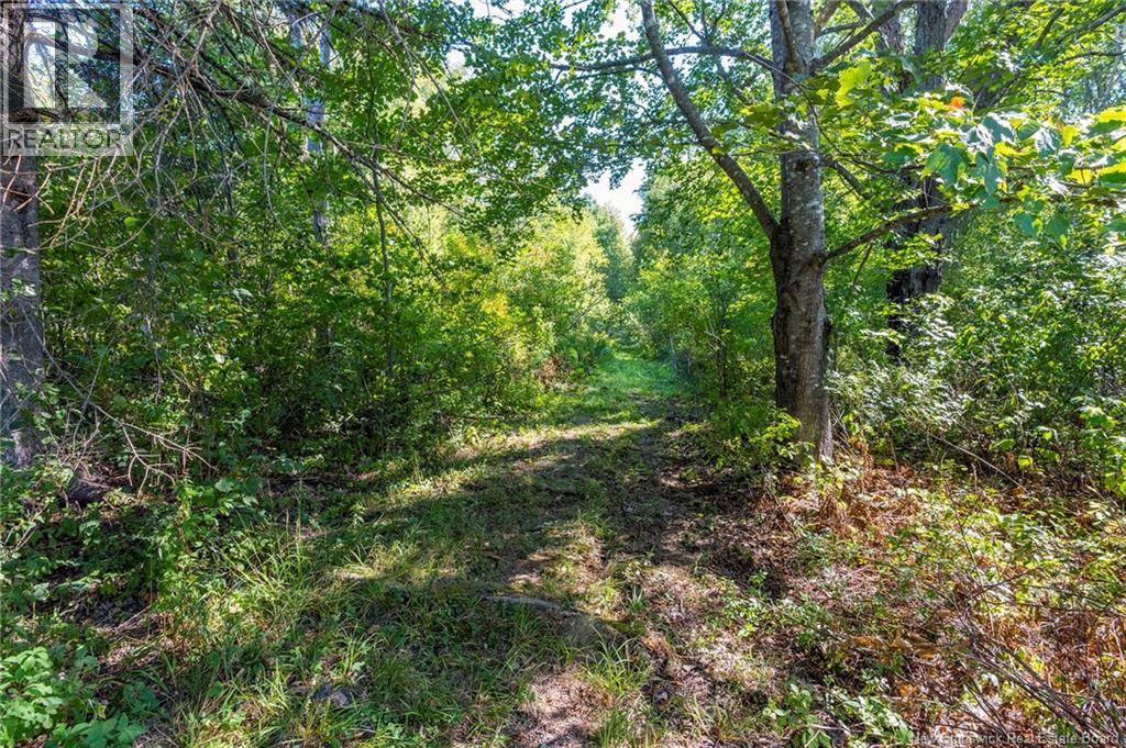 34 Dobson Road, Memramcook, New Brunswick  E4K 2E8 - Photo 38 - NB126183