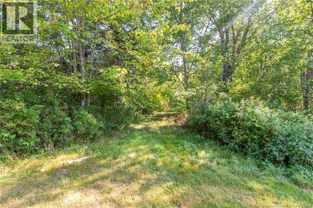 34 Dobson Road, Memramcook, New Brunswick  E4K 2E8 - Photo 39 - NB126183