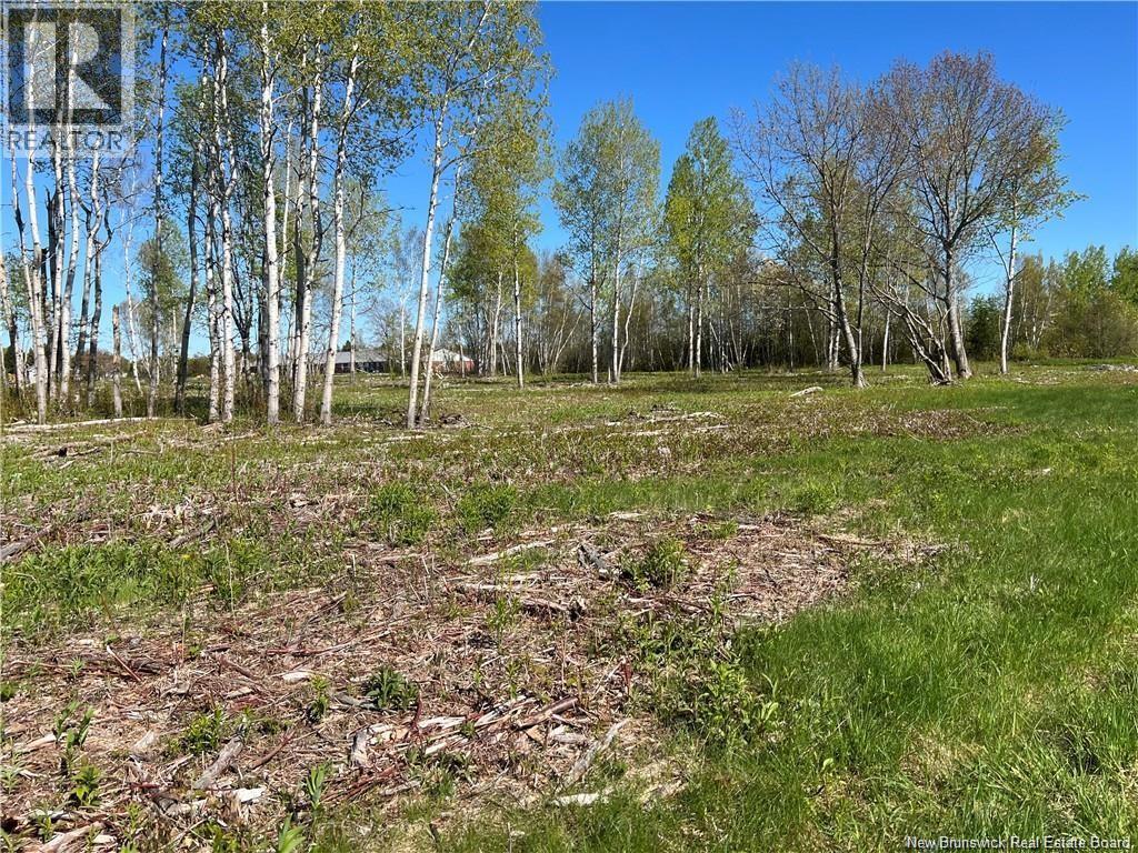Lots Evangeline, Richibucto, New Brunswick  E4W 3Z5 - Photo 11 - NB126190
