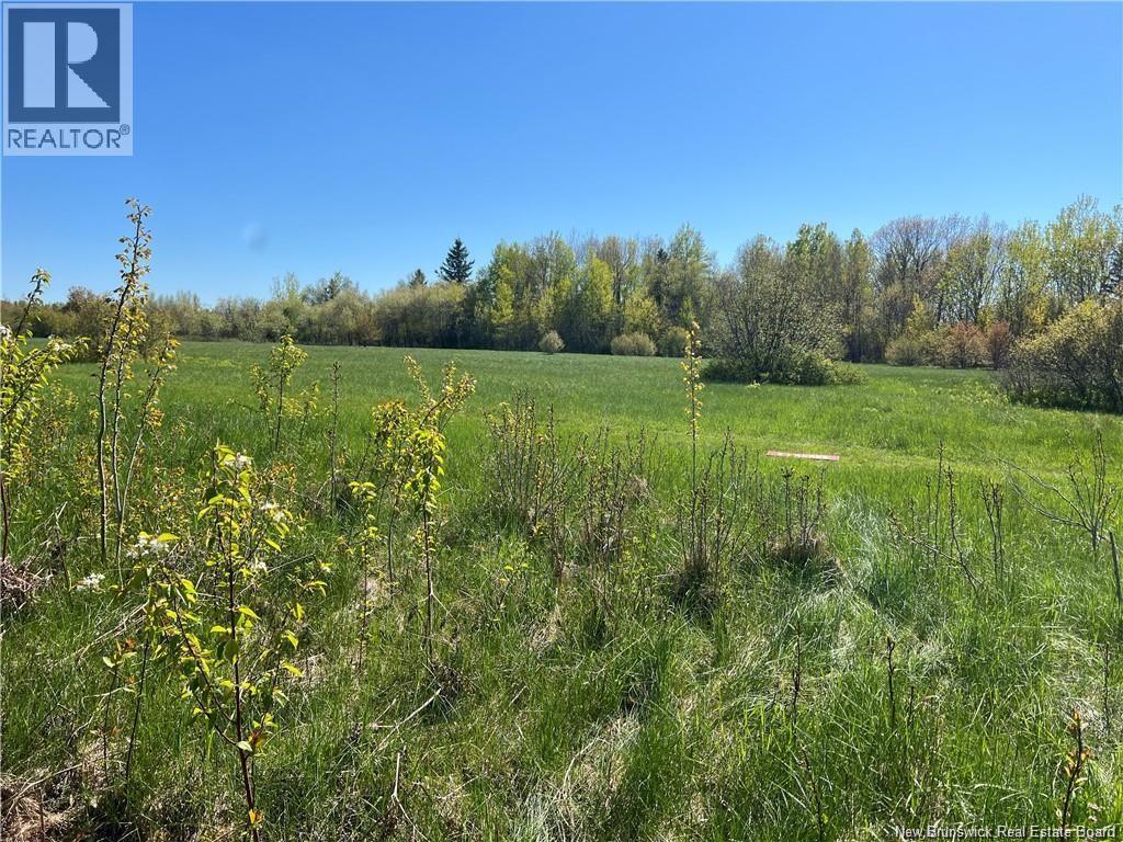 Lots Evangeline, Richibucto, New Brunswick  E4W 3Z5 - Photo 12 - NB126190