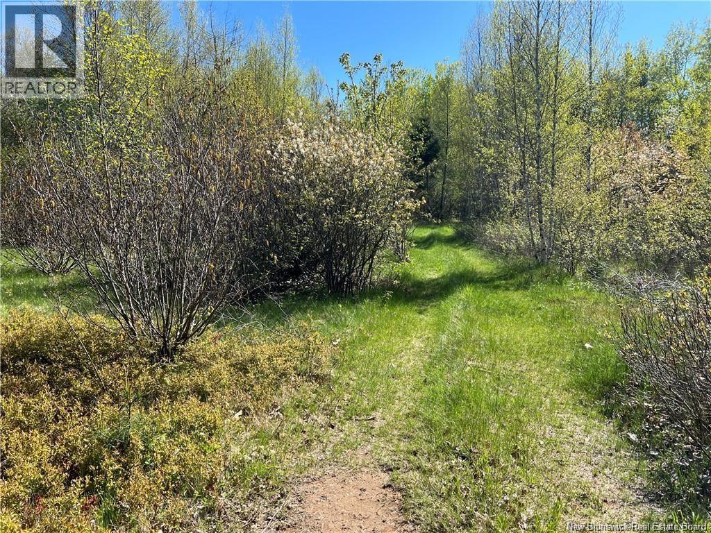 Lots Evangeline, Richibucto, New Brunswick  E4W 3Z5 - Photo 14 - NB126190