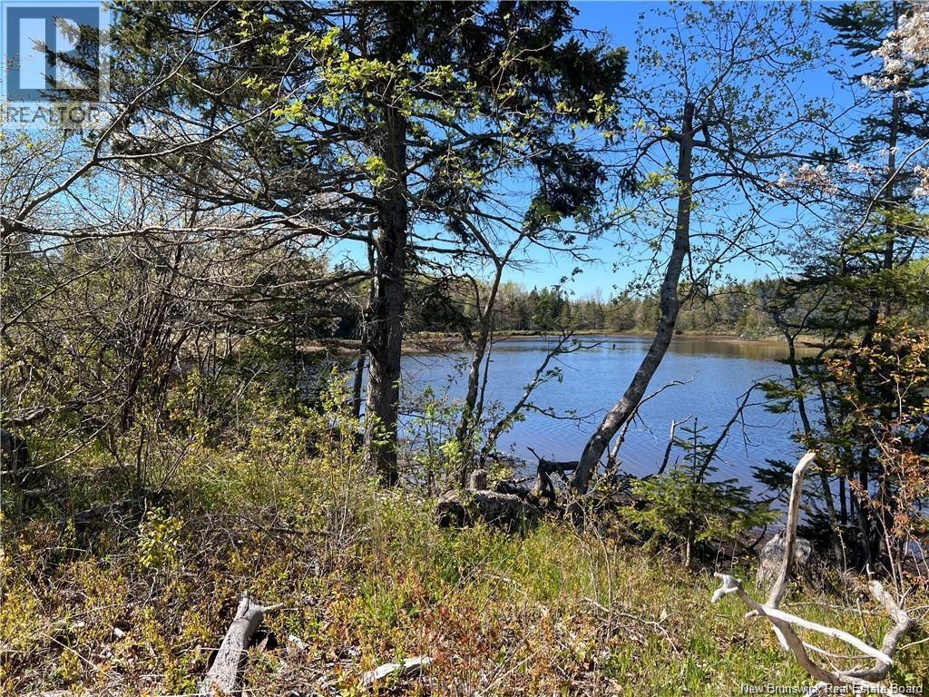 Lots Evangeline, Richibucto, New Brunswick  E4W 3Z5 - Photo 21 - NB126190