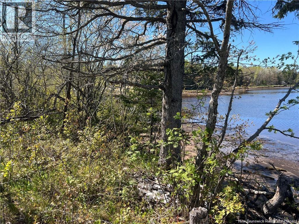 Lots Evangeline, Richibucto, New Brunswick  E4W 3Z5 - Photo 23 - NB126190