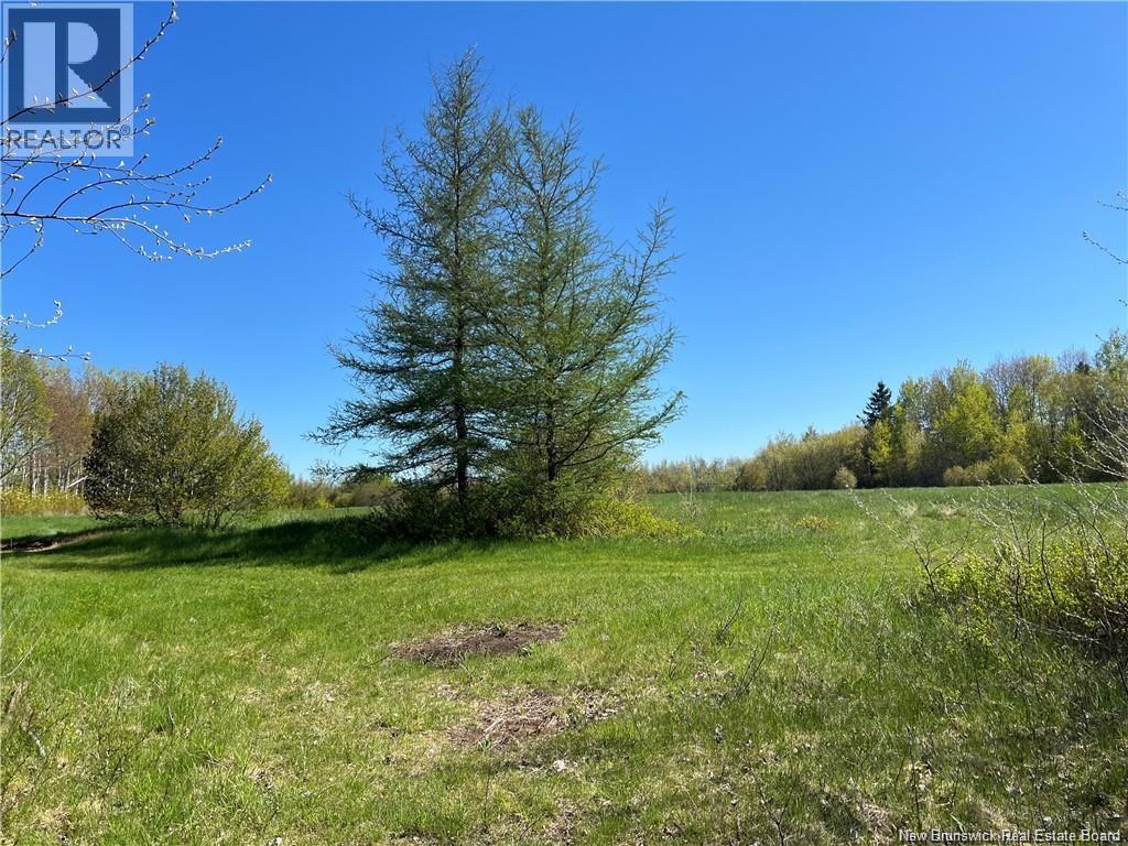 Lots Evangeline, Richibucto, New Brunswick  E4W 3Z5 - Photo 24 - NB126190