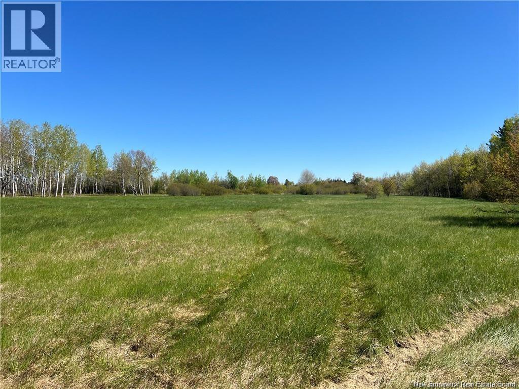 Lots Evangeline, Richibucto, New Brunswick  E4W 3Z5 - Photo 26 - NB126190