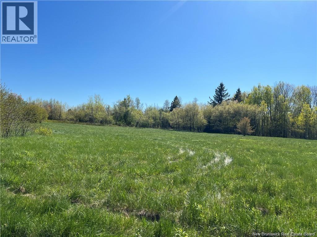 Lots Evangeline, Richibucto, New Brunswick  E4W 3Z5 - Photo 29 - NB126190