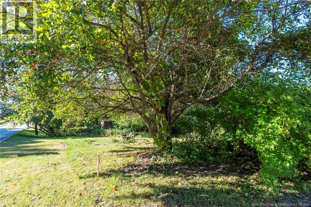 Lot Mapleton Road, Moncton, New Brunswick  E1G 2K7 - Photo 5 - NB126235
