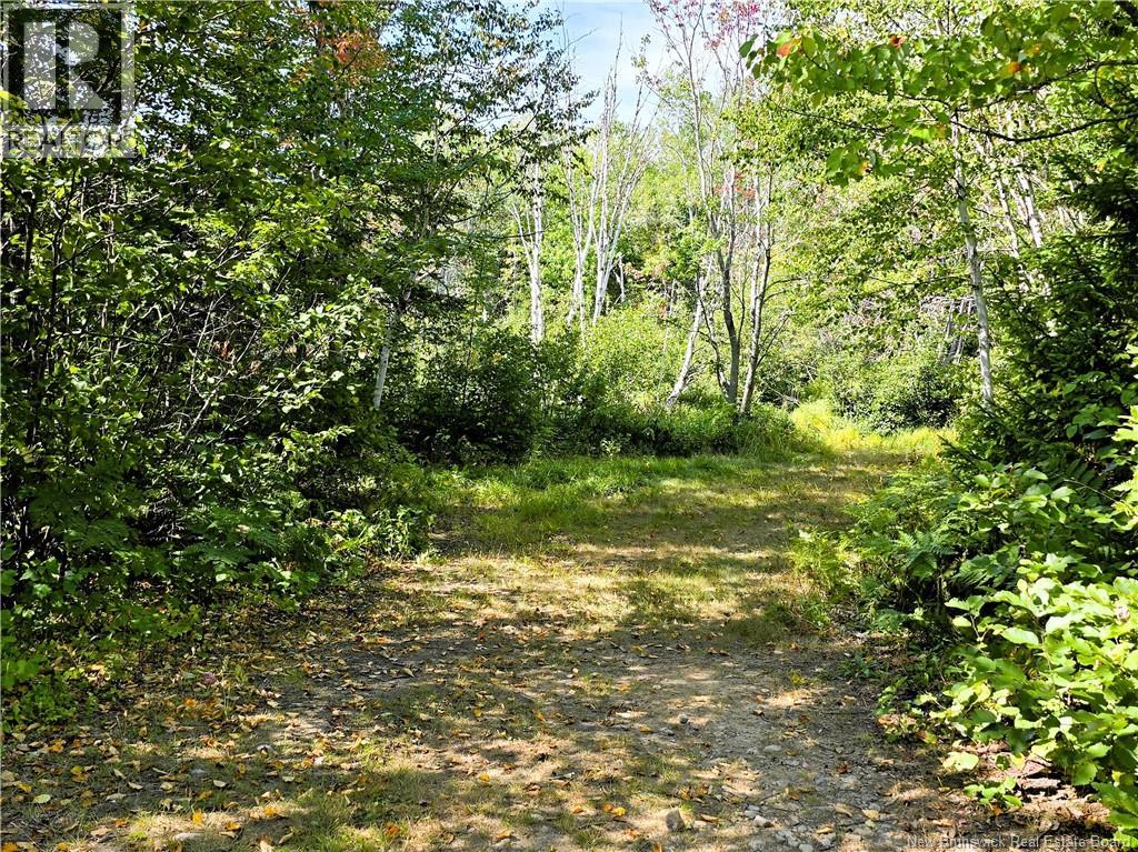 36 Acres Route 135, Duguayville, New Brunswick  E8M 1K2 - Photo 10 - NB126221