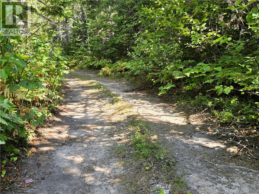 36 Acres Route 135, Duguayville, New Brunswick  E8M 1K2 - Photo 5 - NB126221