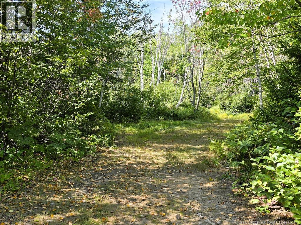 36 Acres Route 135, Duguayville, New Brunswick  E8M 1K2 - Photo 7 - NB126221