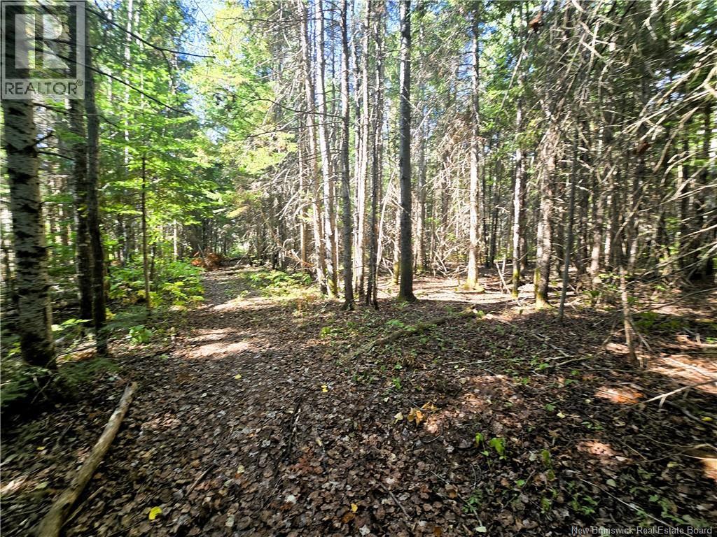 36 Acres Route 135, Duguayville, New Brunswick  E8M 1K2 - Photo 9 - NB126221