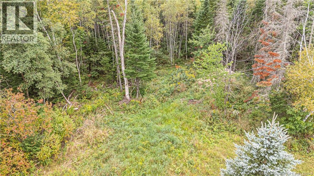 349 Rusagonis Road, Rusagonis, New Brunswick  E3B 8X2 - Photo 13 - NB126256
