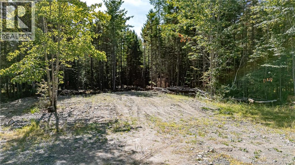 349 Rusagonis Road, Rusagonis, New Brunswick  E3B 8X2 - Photo 20 - NB126256