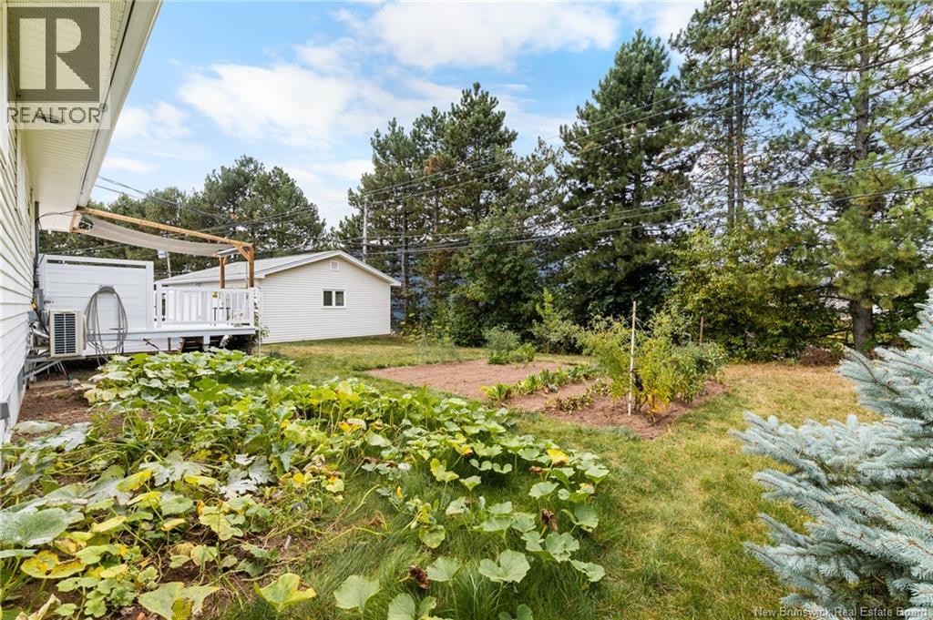 70 Chelsea, Moncton, New Brunswick  E1G 1H8 - Photo 45 - NB126233